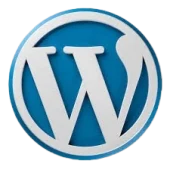 Tools that are used by the best digital marketer in Riyadh. It is a logo.